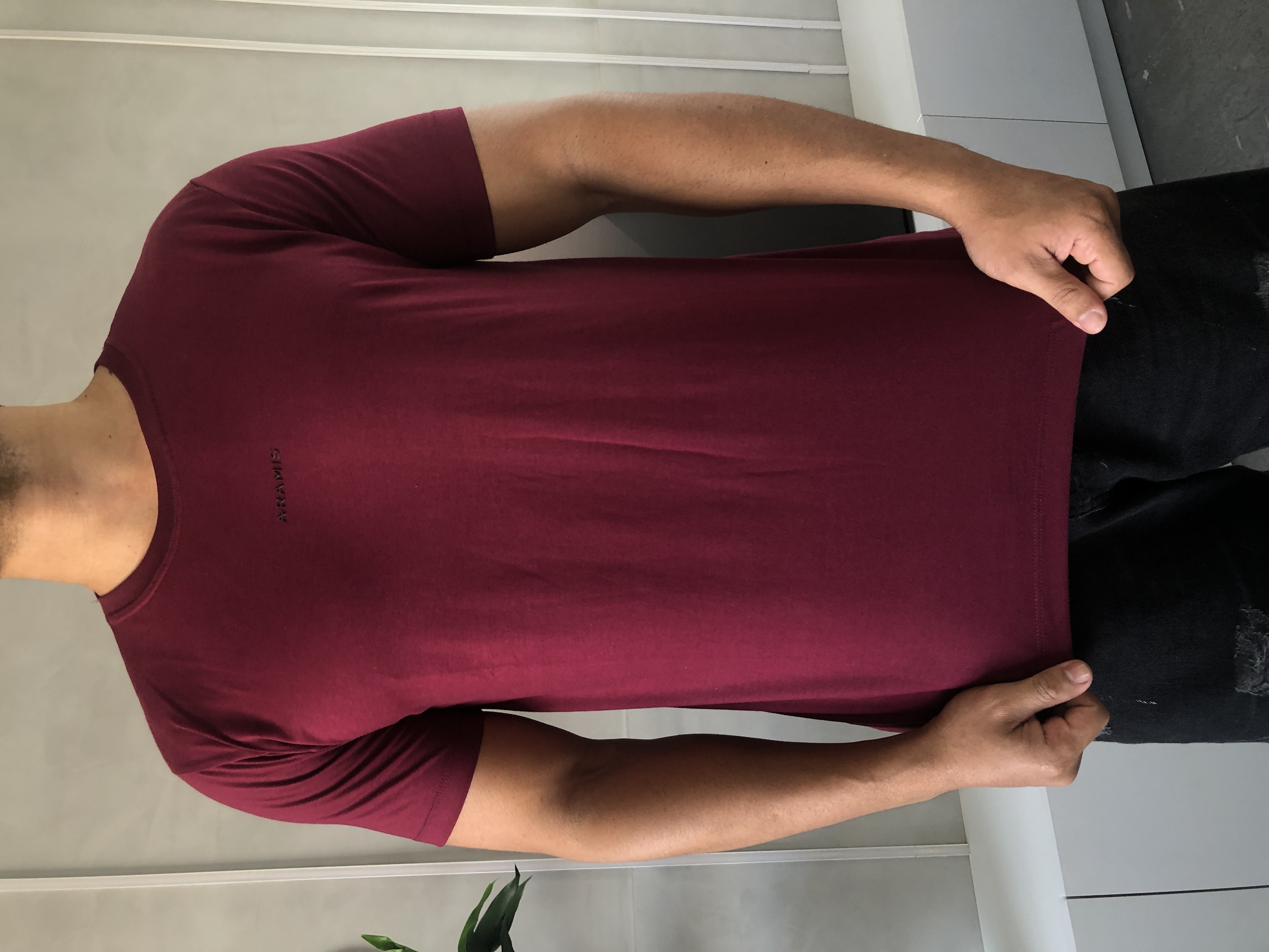 CAMISA PERUANA BÁSICA ARAMIS