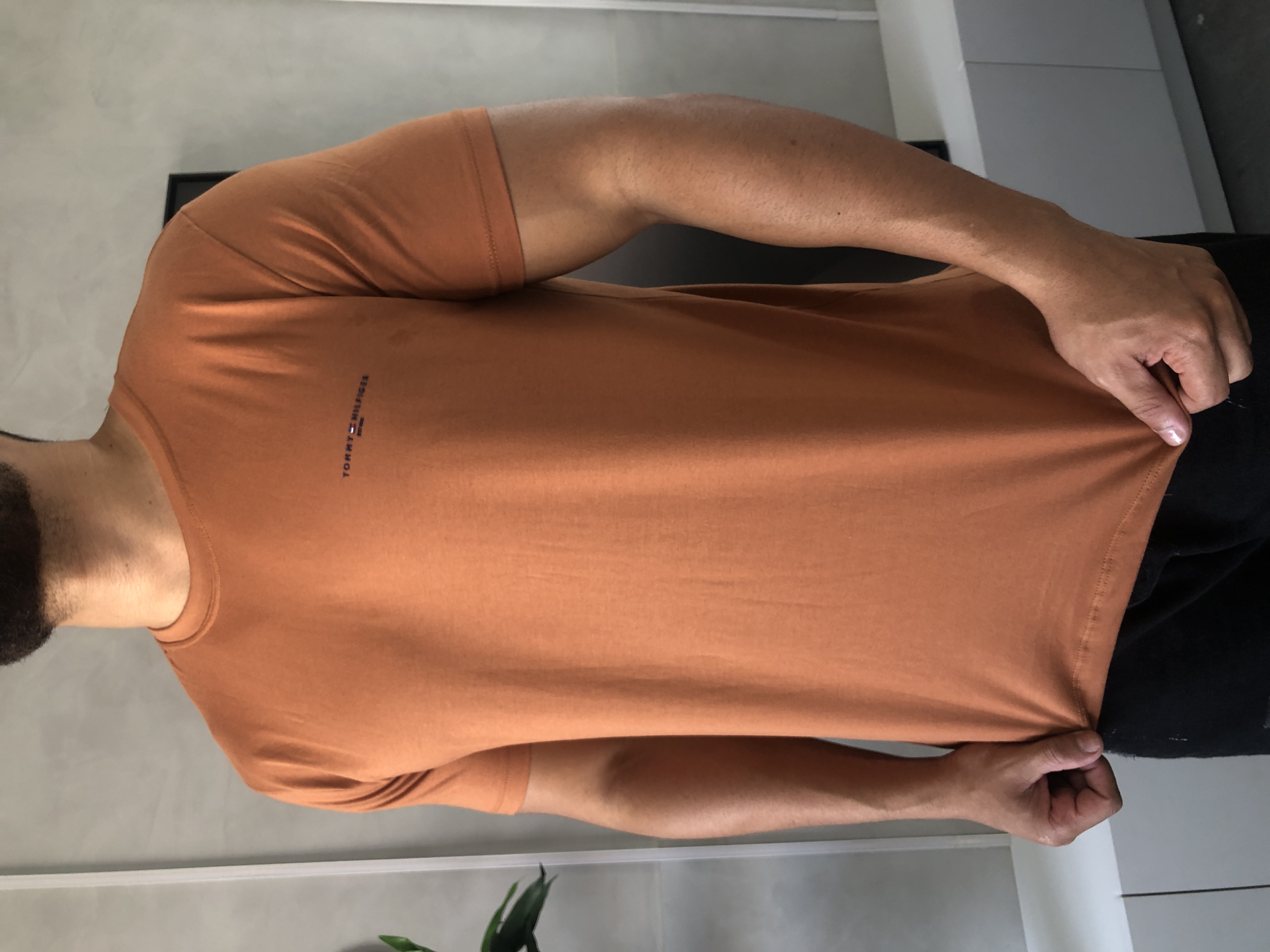 CAMISA PERUANA BÁSICA TOMMY HILFIGER