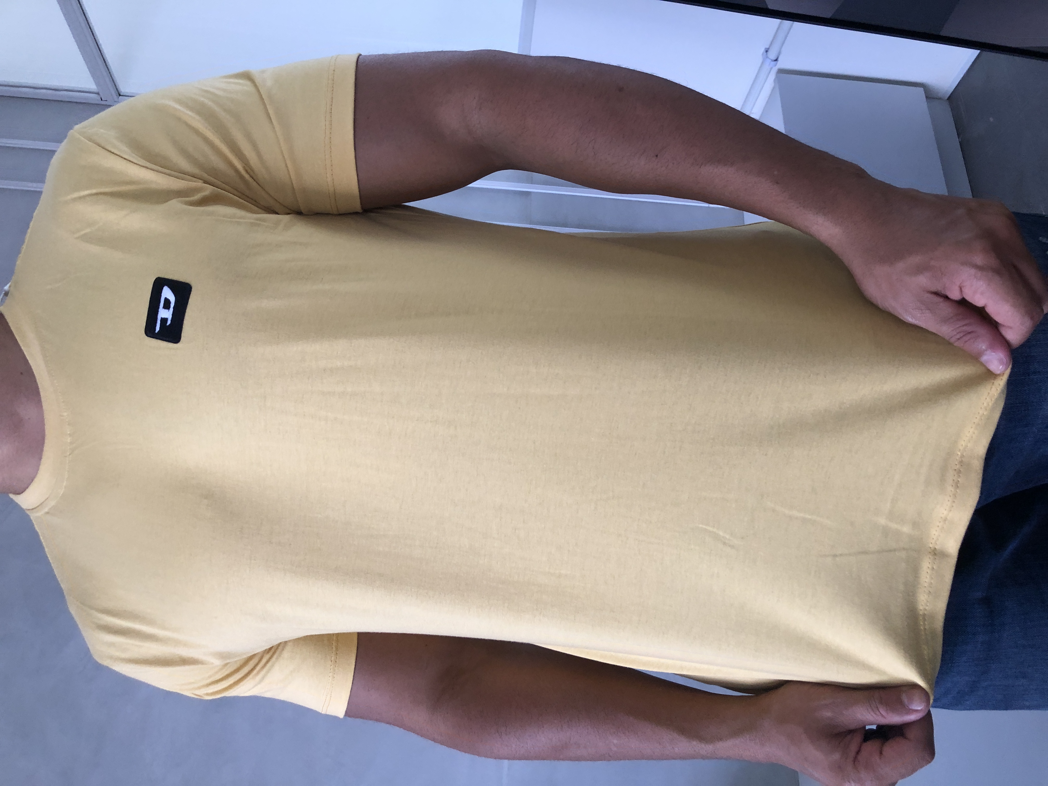 CAMISA PERUANA BÁSICA DIESEL