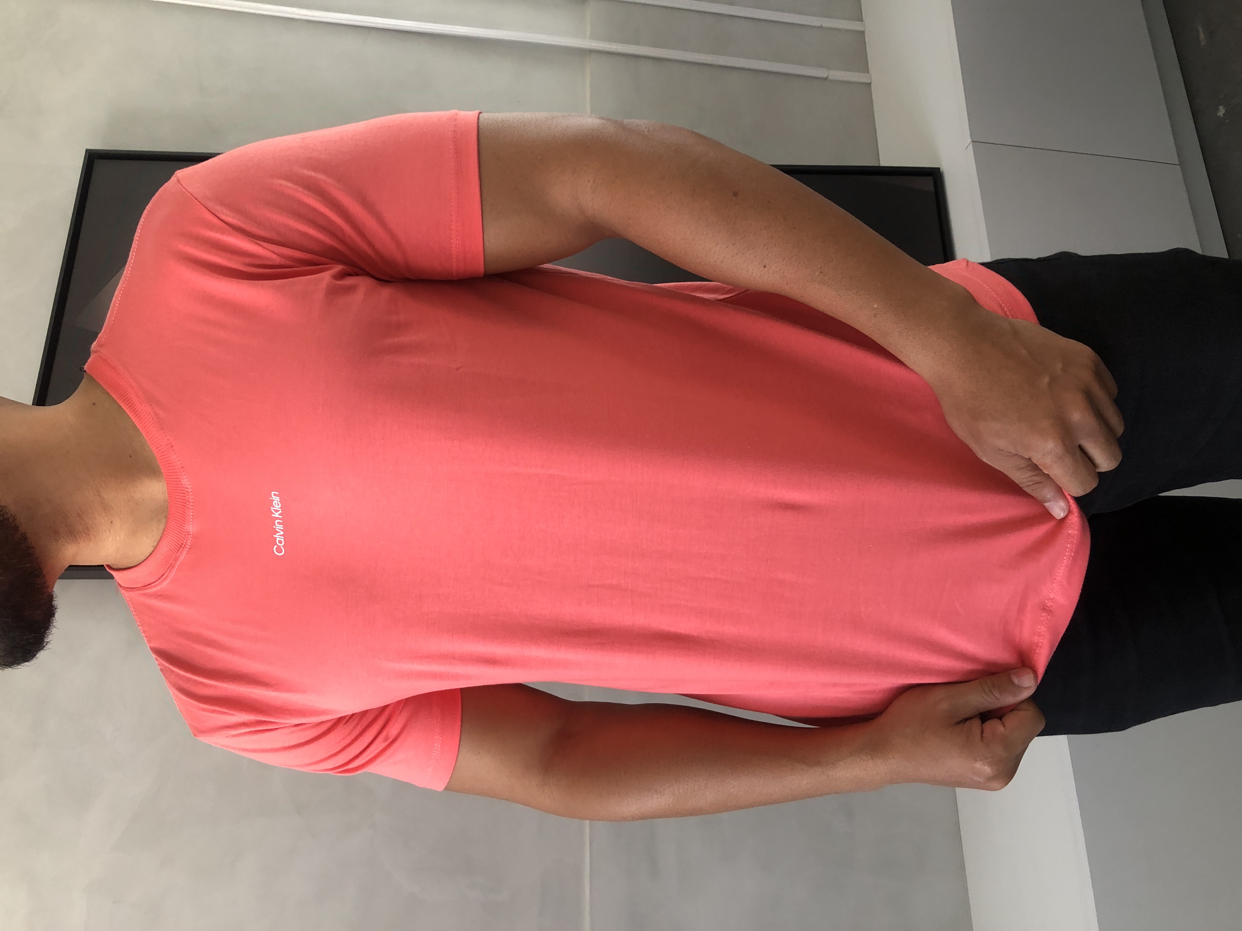 CAMISA PERUANA BÁSICA CALVIN KLEIN