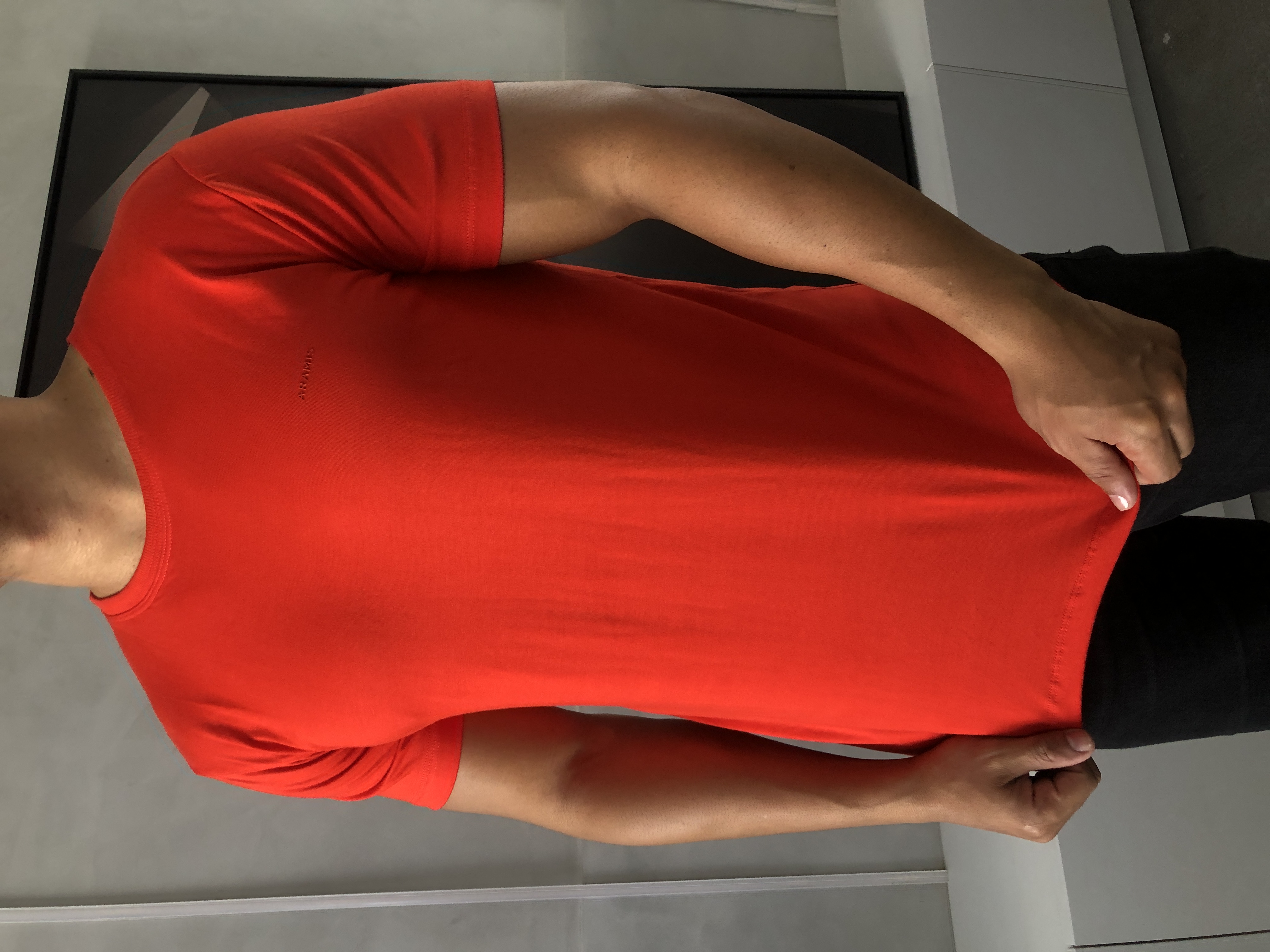 CAMISA PERUANA BÁSICA ARAMIS