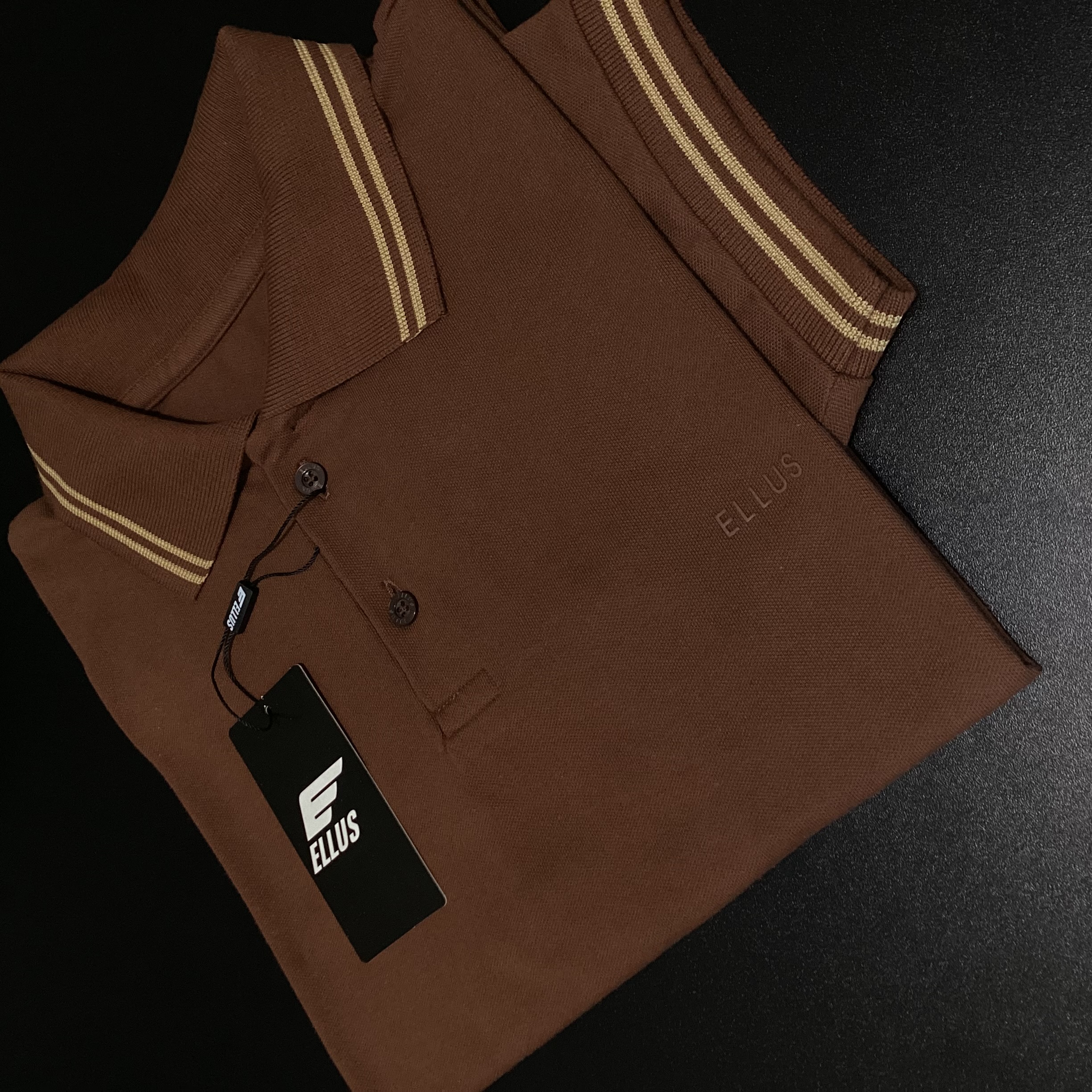 Foto 2 de CAMISA POLO ELLUS