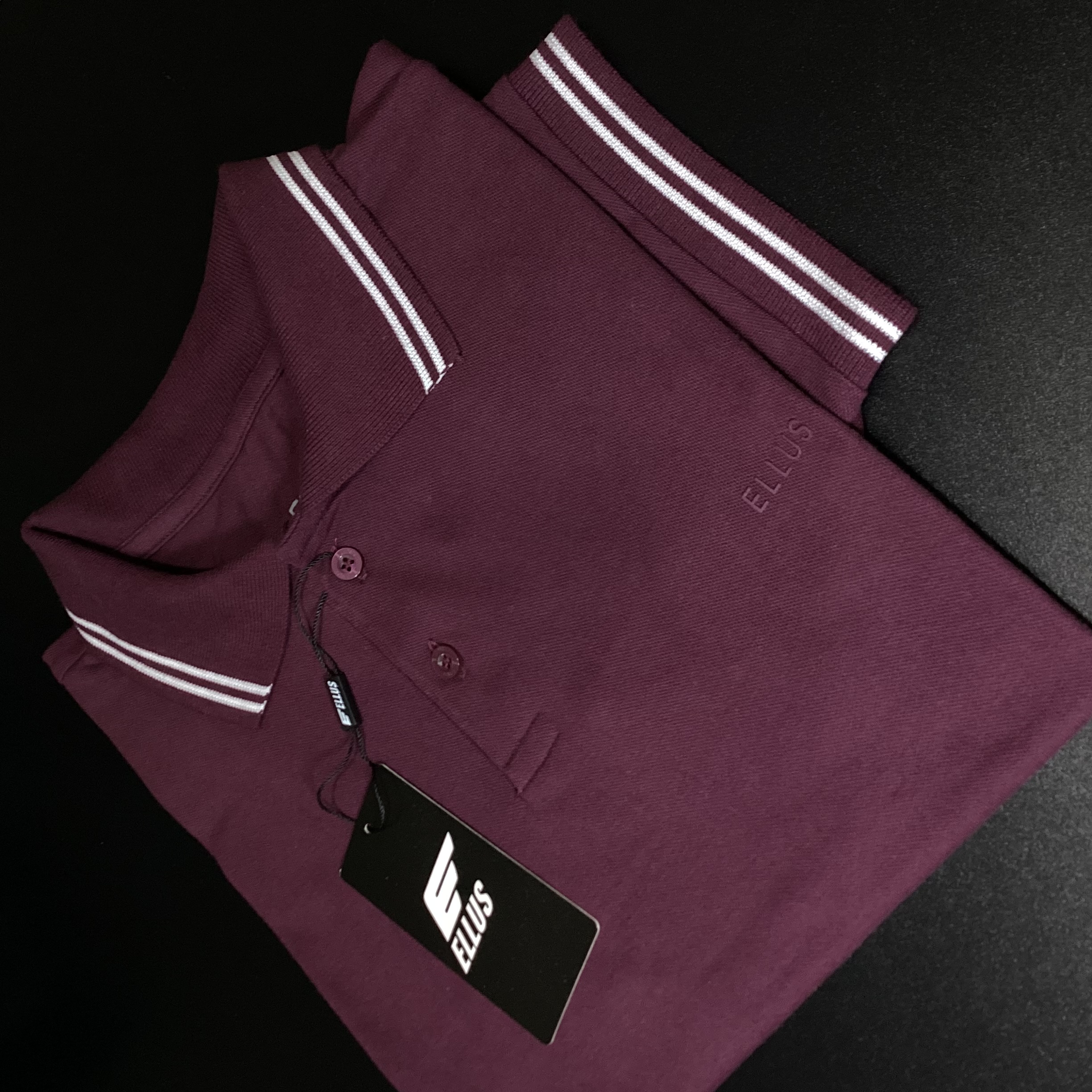 Foto 2 de CAMISA POLO ELLUS